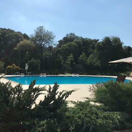 בוקרשט Nordului Herastrau Luxury Apartment מראה חיצוני תמונה